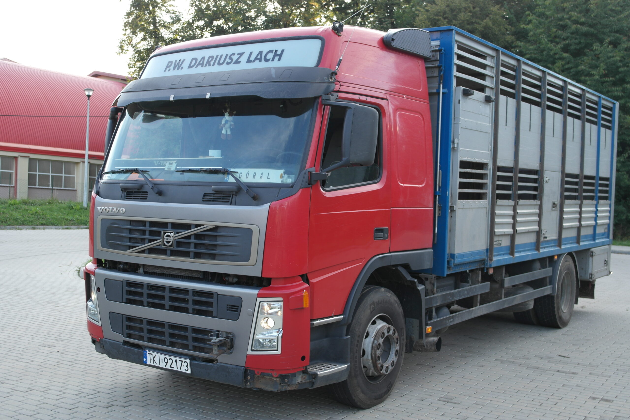 Volvo FM — przewóz żywca