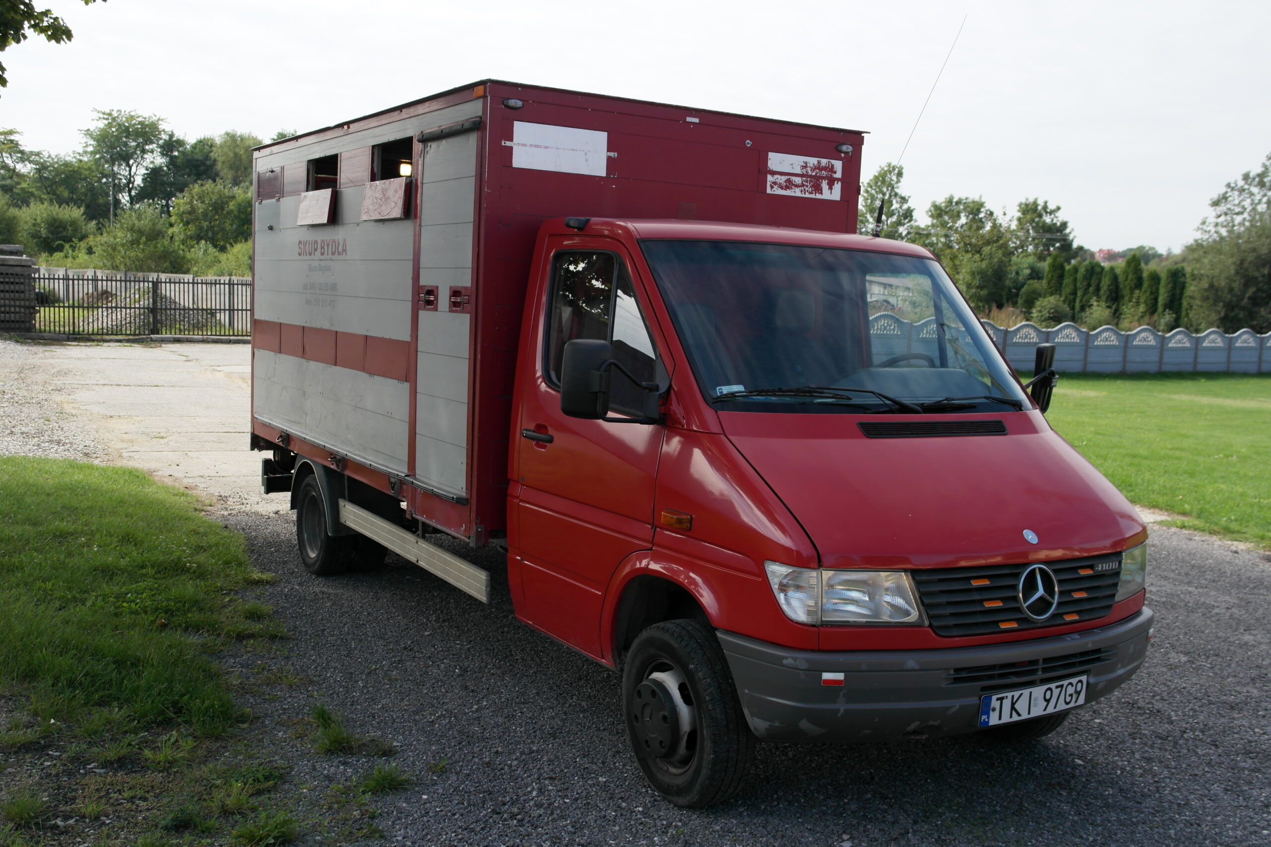 Mercedes — przewóz żywca