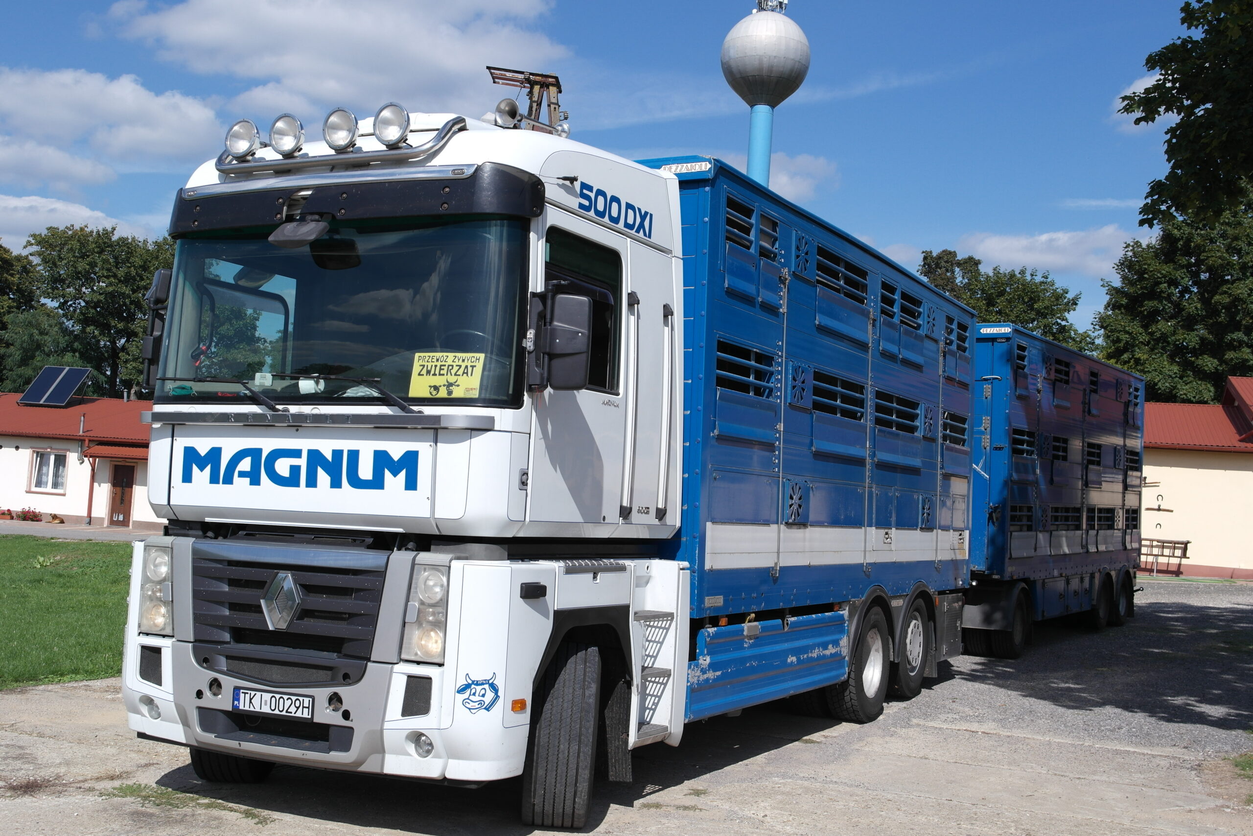 Renault Magnum — przewóz żywca
